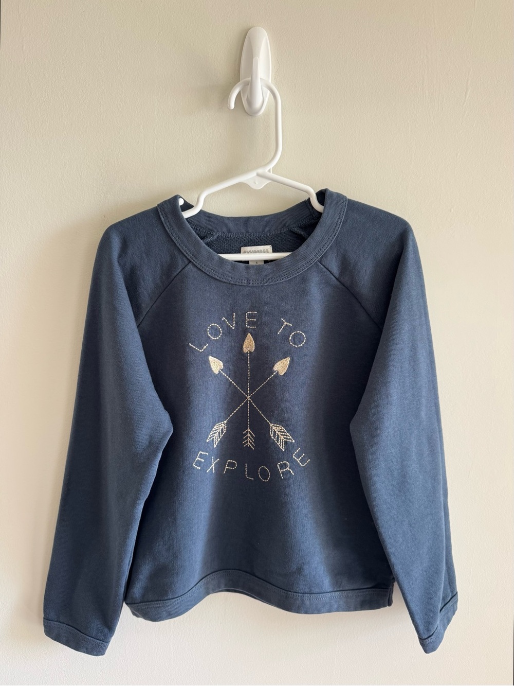 Gymboree “Love to Explore” Pullover